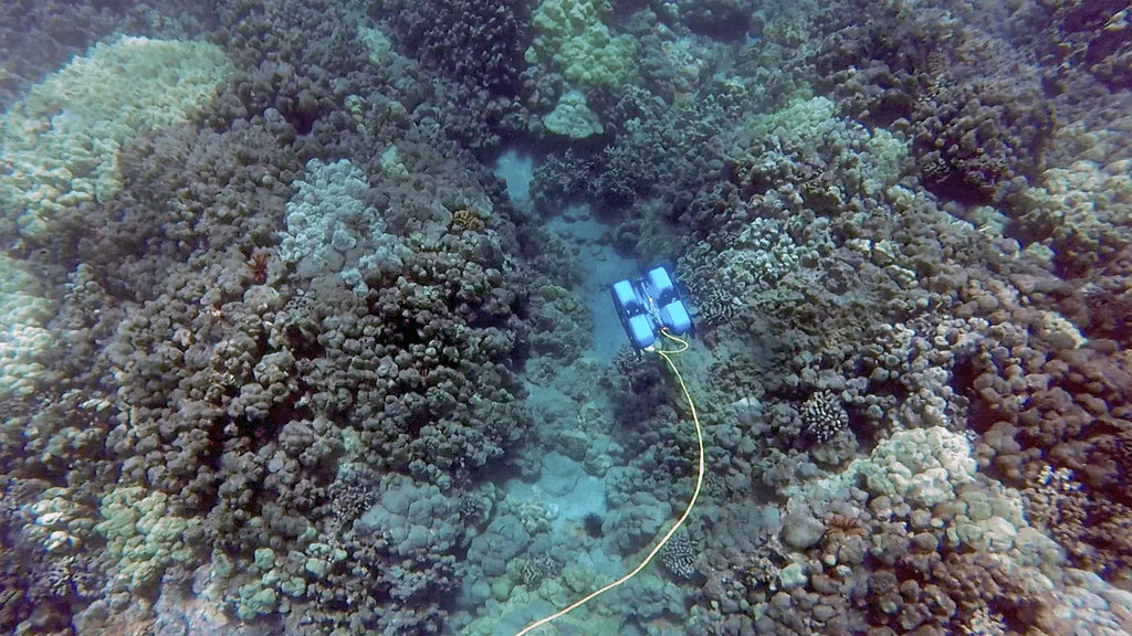 Blue Buff Rov BlueROV2 in Canada - Affordable and Capable Underwater ROV – Marine ...